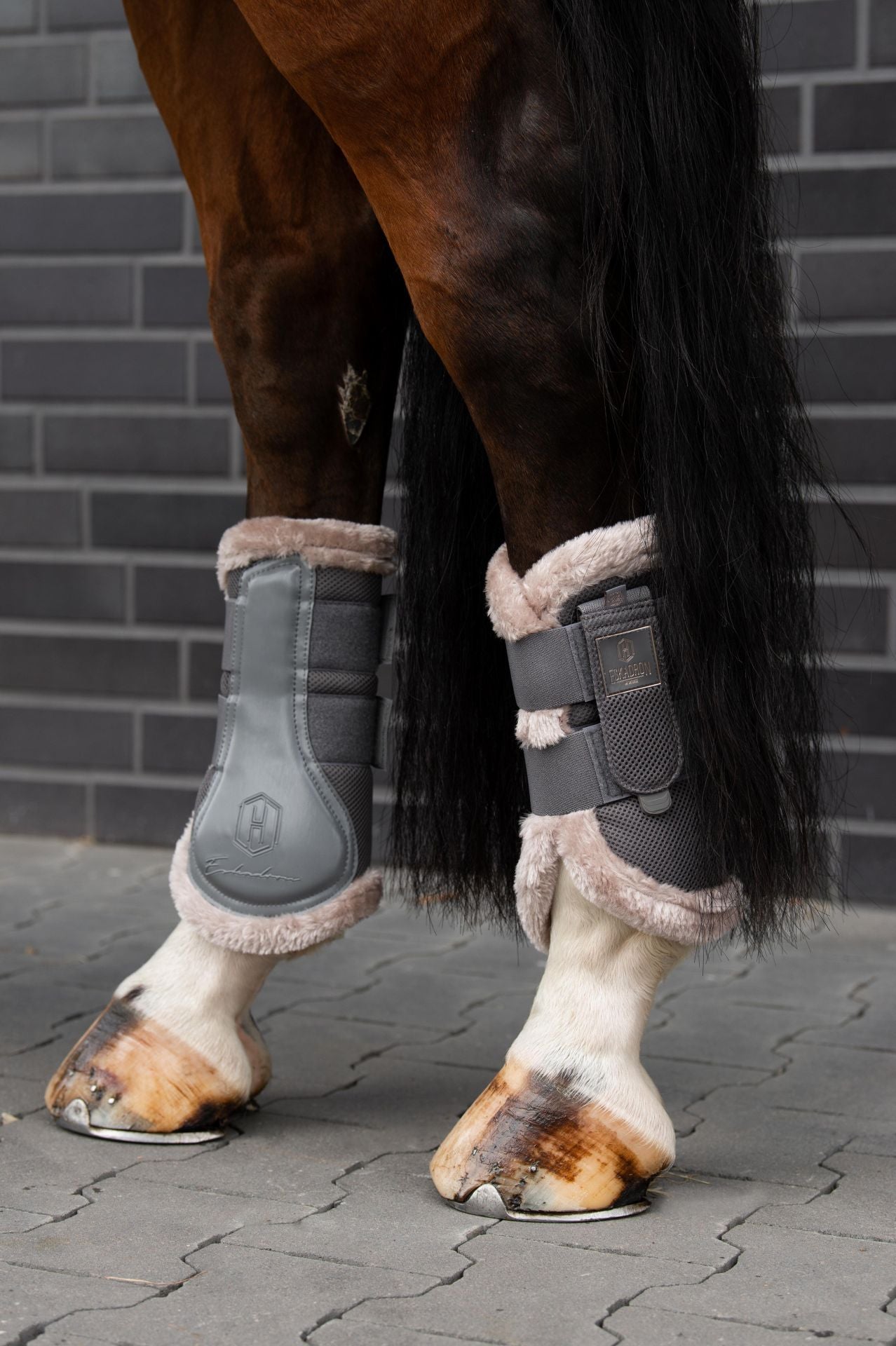 Eskadron 2025 horse boots